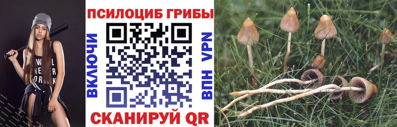 хочу наркоту  Сертолово  кракен сайт  Галлюциногенные грибы GOLDEN TEACHER 
